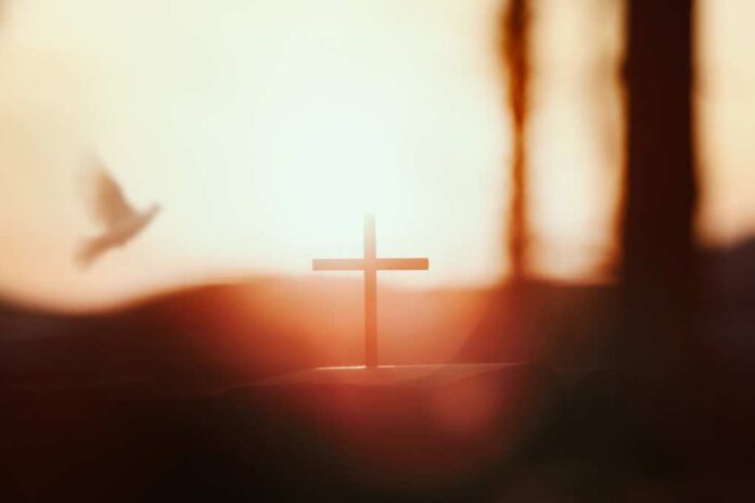 The,Bright,Sun,And,The,Sunset,Forest,White,Dove,And