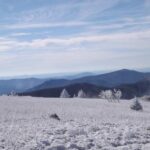 Virginia Cliff Incident: Real or Fabricated?
