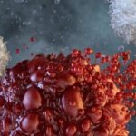 Dinner Table Debate: China’s Biotech Prowess