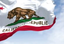 California state flag featuring a bear and a star