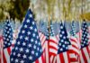 Field of American flags waving in the breeze