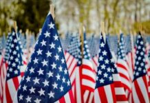 Field of American flags waving in the breeze