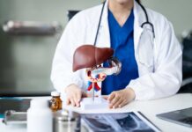 Promising Hepatitis E Drug Stuck in Limbo Healthcare professional presenting a liver anatomy model