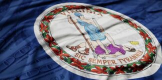 Virginia state flag featuring a central emblem on a blue background