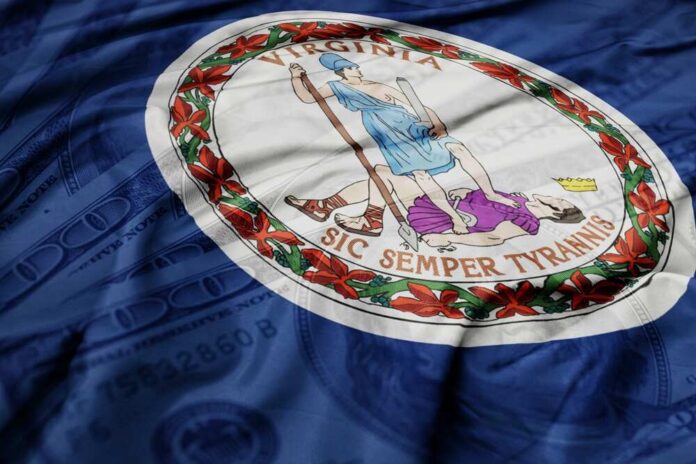 Virginia state flag featuring a central emblem on a blue background