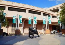 Bull statue in front of the University of South Florida building