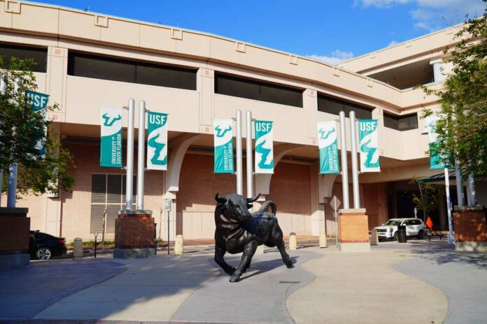 Bull statue in front of the University of South Florida building