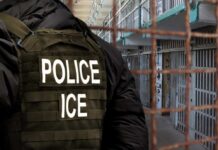 Police officer in tactical gear standing in a detention center