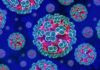 Colorful digital illustration of viruses under a microscope