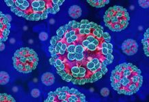 Colorful digital illustration of viruses under a microscope