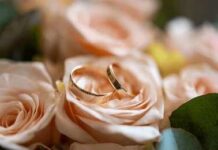 Mystery Wedding Locks Down Madison Square Gold wedding rings resting on pale peach roses