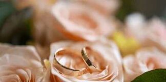 Gold wedding rings resting on pale peach roses