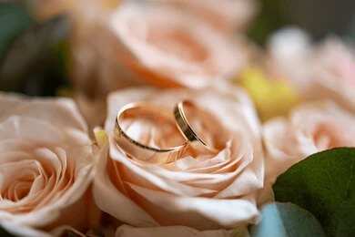 2492154501 Gold wedding rings resting on pale peach roses