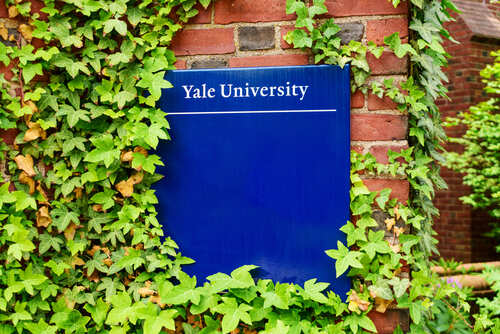 Yale,University,Sign,On,Brick,Building,Surrounded,By,Green,Ivy Sign for Yale University partially covered by ivy