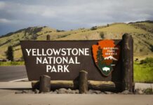 Wild Animal Launches Camper Eight Feet Yellowstone National Park entrance sign beside a road with rolling hills