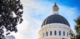 Capitol building dome framed by trees against a blue sky