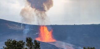 Volcano erupting with a fountain of lava behind shrubs