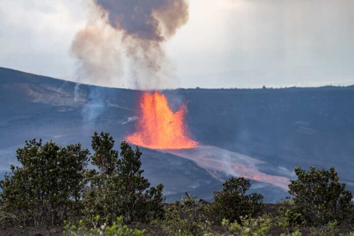 Episode,46,Of,Lava,Fountaining,In,Halema?uma?u,Crater,At,The Volcano erupting with a fountain of lava behind shrubs