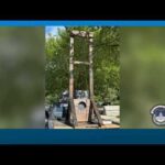 Guillotine Near Supreme Court Sparks Arrest US Capitol Police arrest driver with a guillotine in truck bed by the US Capitol building