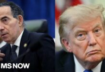 ‘Hold them accountable for every grift & rip-off’: Dems plan investigations into Trump business ties