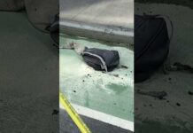 Man sets himself on fire in lobby of Google office building in Lower Manhattan #shorts