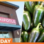 Spicy Culprit Sickens Hundreds Officials Probe Salmonella Outbreak Tied to Jalapeños at Chipotle