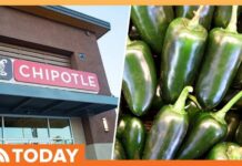 Spicy Culprit Sickens Hundreds Officials Probe Salmonella Outbreak Tied to Jalapeños at Chipotle