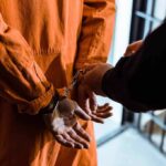 Casting Calls Allegedly Lured Teenage Victims Prisoner in orange jumpsuit handcuffed by officer