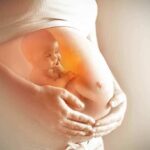Pregnant belly with illustration of fetus inside