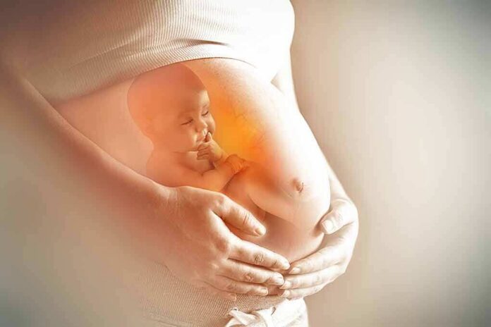shutterstock_1144632296 Pregnant belly with illustration of fetus inside