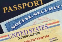 Stack of U.S. identification documents