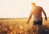 Elites Gamble With Dinner Plates Man walking through a golden wheat field at sunset