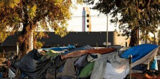 Street encampment with tarps and makeshift tents by roadside
