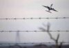 U.S. Deportation Puts Ex-Minister On Trial Airplane taking off above barbed wire fence
