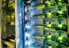 Grid Panic Triggers Statewide Data Audit Server rack with network cables and glowing indicator lights