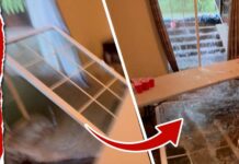 Flash Flood Carnage Hits College Town Floodwaters Bursts Through NJ University Students' Home in 'Titanic Moment'