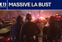 LAPD arrests 69 after Harbor Gateway street takeover involving more than 700 people