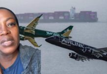 TOO LOW Flyby, Only 46 Feet Above Stadium – Watch Airlink Flyover Cape Town Why It Went Viral And Made International News đżđŚ No DNA