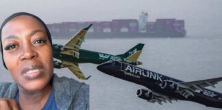 Airlink Flyover Cape Town Why It Went Viral And Made International News 🇿🇦 No DNA