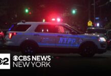 NYPD Open Fire on Alleged Teen Armed Carjacking Suspect trying to Strike Officer w/ Stolen Car - BK